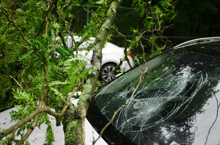 pare-brise-cassé-sous-une-voiture