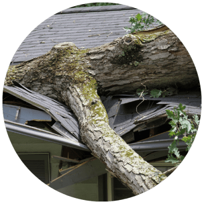 arbre-qui-est-tombe-sur-une-toiture-suite-a-une-tempete