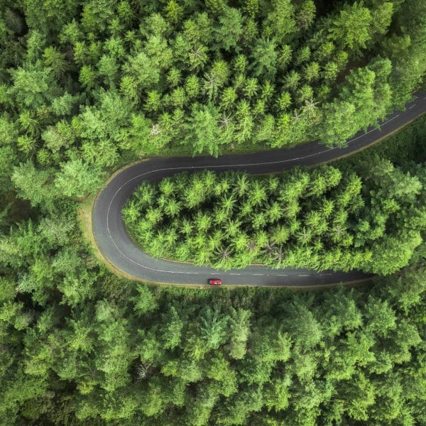 Vue du ciel d'une route entourée d'une forêt