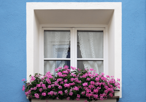 Fenêtre bleu avec encadrement blanc et un balcon avec des fleurs violettes.